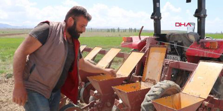 Sandıklı'da pancar ekimi tamamlandı