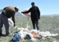 Sivas'taki araziye yayılan çöpler temizleniyor