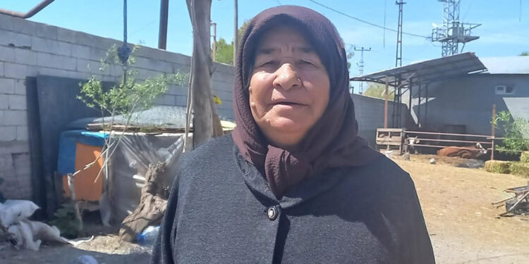 Sözde soykırım iddialarına Ermenistan sınırından cevap verdiler