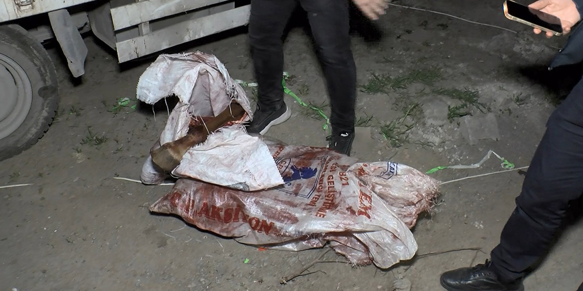 Sultangazi'de gecekonduda at kesenlere baskın