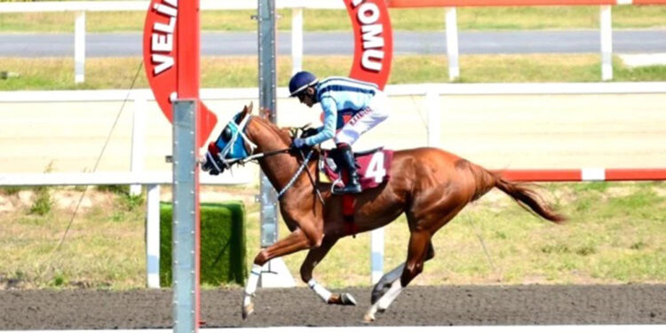 TSYD İzmir Koşusu'nda 25'inci yıl heyecanı