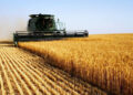 Tüi̇k: tarımsal girdi fiyatları aylık yüzde 3,59 arttı