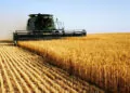 Tüi̇k: tarımsal girdi fiyatları aylık yüzde 3,59 arttı