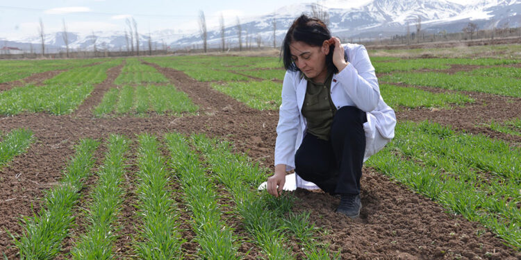 Tarım sektörü 'Parla' ile parlayacak