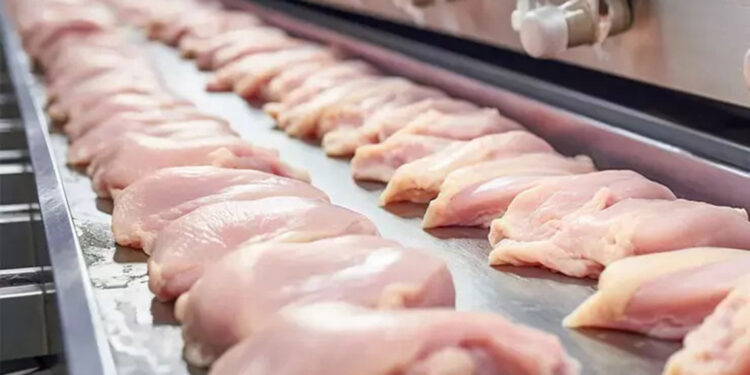 Tavuk eti ihracatına sınırlama