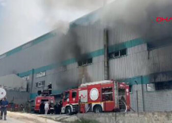Tekirdağ'da fabrika yangını