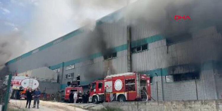 Tekirdağ'da fabrika yangını