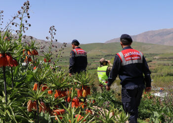 Ters laleler jandarma korumasında