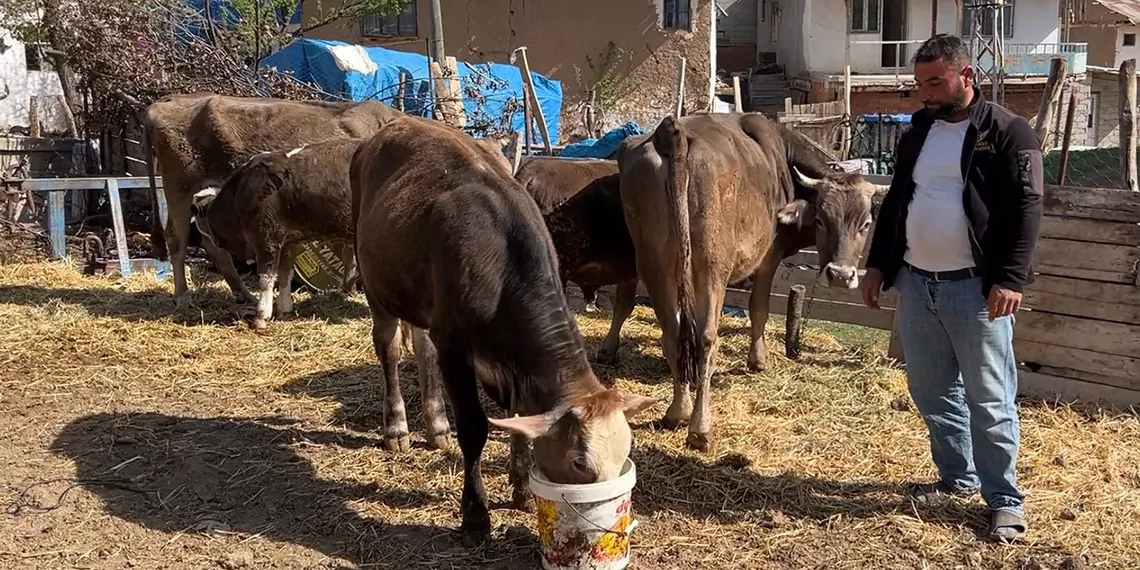 Tokat'ta depremin merkez üssü su kesintileri yaşandı. Evlerinde su akmayanlar, ailelerine ve hayvanlarına çeşmelerden doldurdukları bidonlarla su taşırken, halk geceyi dışarıda geçirdi.