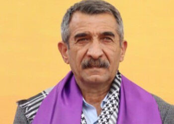 Tunceli'de DEM Parti'li Konak başkan seçildi