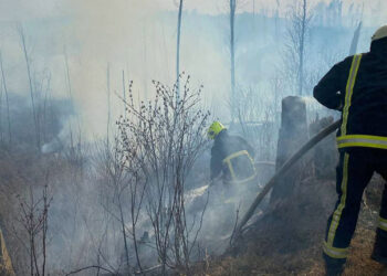 Zakarpatya'da orman yangını