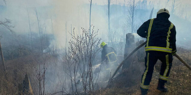 Zakarpatya'da orman yangını
