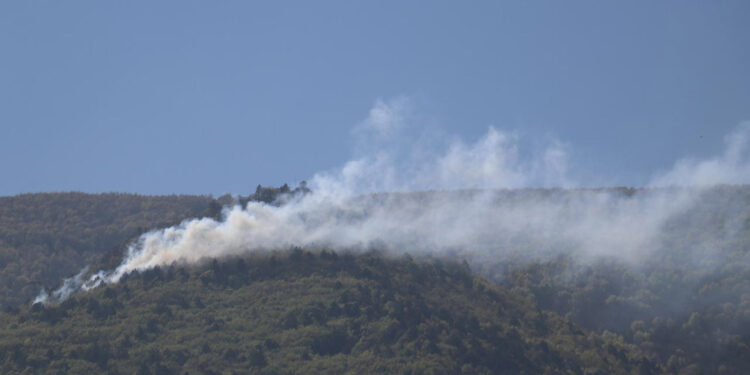 Uludağ'ın eteklerinde orman yangını
