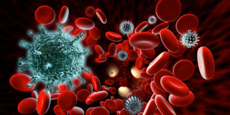 Uzmanı uyardı: Hemofili çoğunlukla erkeklerde görülüyor