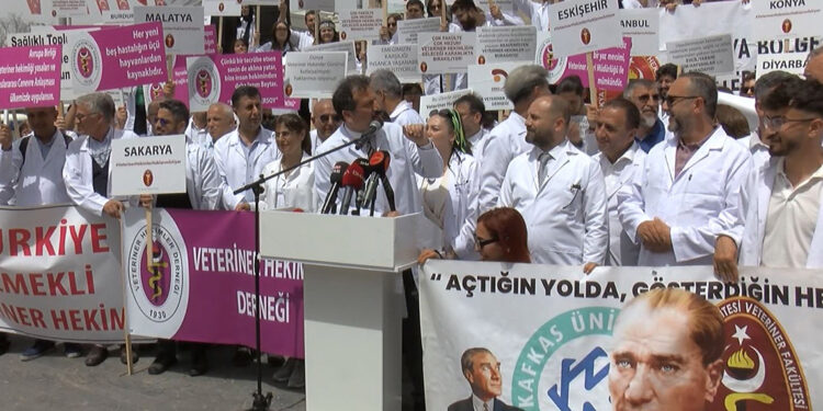 Veteriner hekimlerden 'özlük hakları' açıklaması