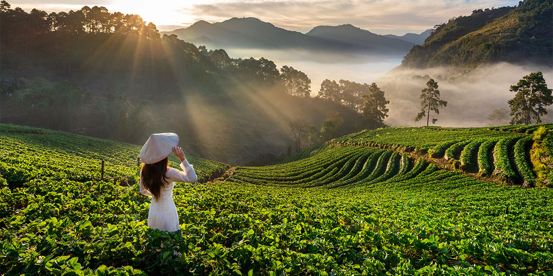 Vietnam'ın tarihi ve kültürü: Direniş, dayanıklılık ve mücadele