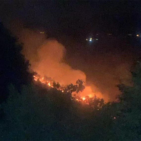 Yalova'da çıkan orman yangını söndürüldü