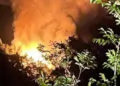 Yalova'da çıkan orman yangını söndürüldü