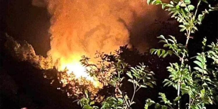 Yalova'da çıkan orman yangını söndürüldü