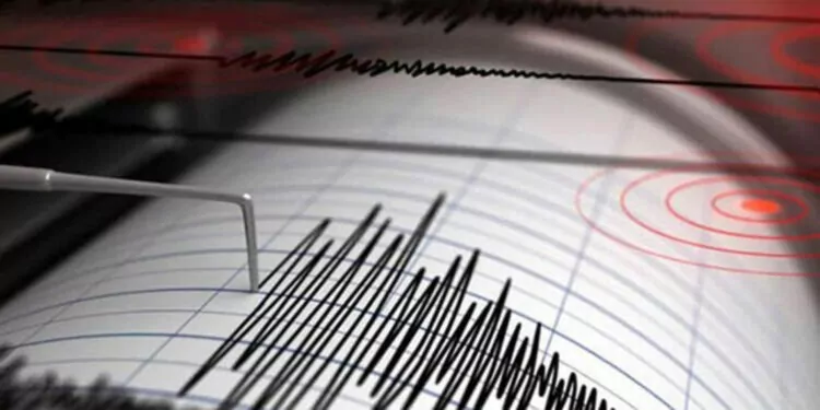 Erzincan'da 4. 1 büyüklüğünde deprem
