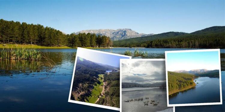 Milli parklar ve tabiat parklarında bayram tedbirleri