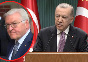 Steinmeier Erdoğan ile görüşecek
