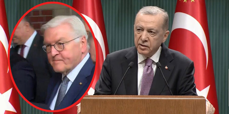Steinmeier Erdoğan ile görüşecek