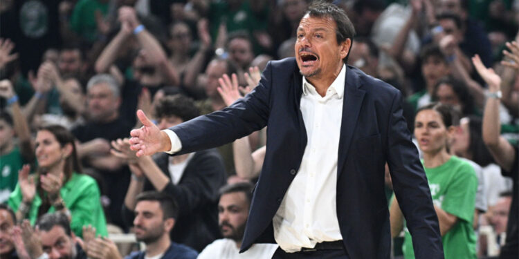 Bakanlardan, Ergin Ataman'a destek
