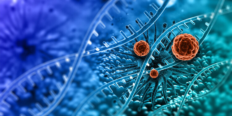 TÜRKÖK 1 milyon 49 bin 844 bağışçı adayı havuzuna ulaştı