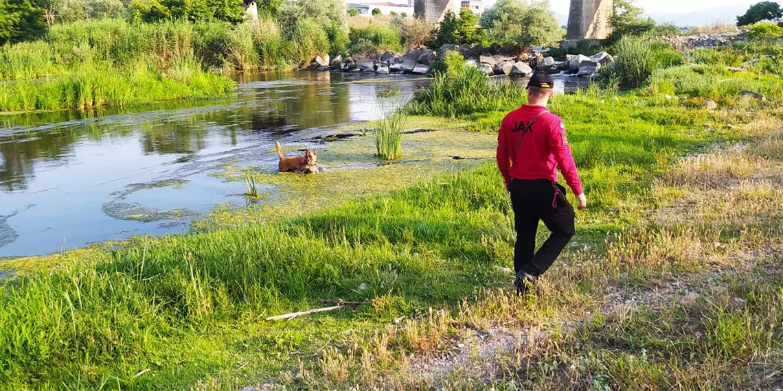 Korhan berzegi arama calismalarinda 23uncu gun 150 kilometrekarelik alan tarandi 3200 dhaphoto7 - öne çıkan - haberton