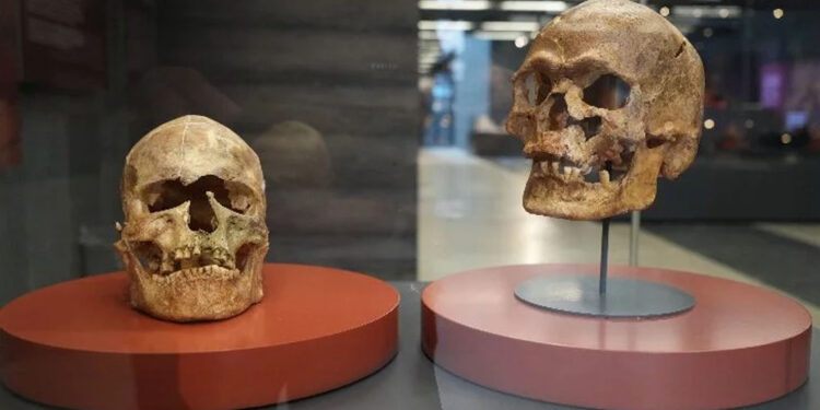 Samsun Müzesi'nde hedef 500 bin ziyaretçi