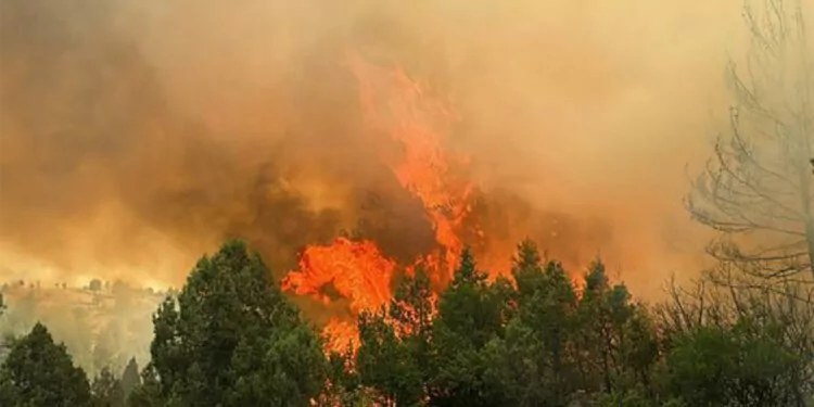 Çanakkale valiliği'nden orman yangını uyarısı