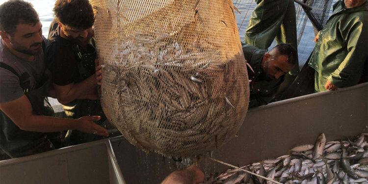 İklim değişikliği nedeniyle denizlerde av yasağı geriye çekilmeli