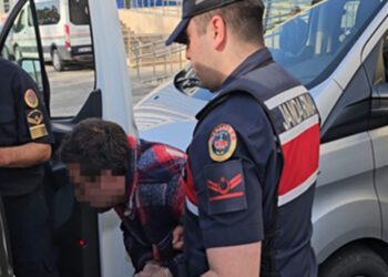 Çırağına cinsel istismardan tutuklanmıştı, tahliye edildi