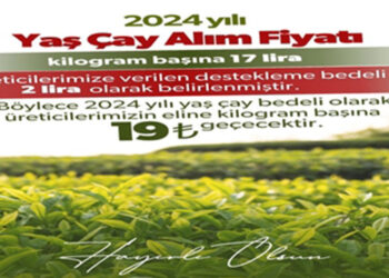 2024 yılı yaş çay alım fiyatı belirlendi