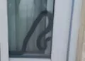 Eve giren yılan panik yarattı