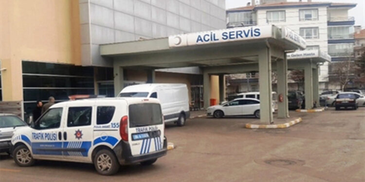 Mantar toplamaya giden kadın ölü bulundu