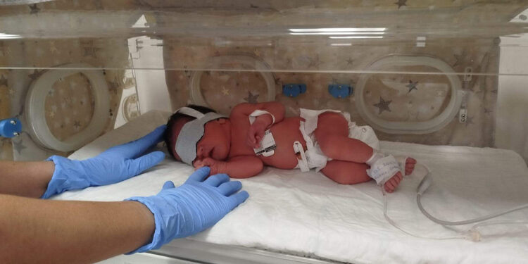 2 günlük bebeği dağ yoluna terk eden aile yakalandı