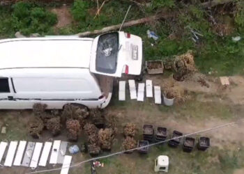 NARKOÇELİK-16 operasyonlarında 366 zehir taciri yakalandı
