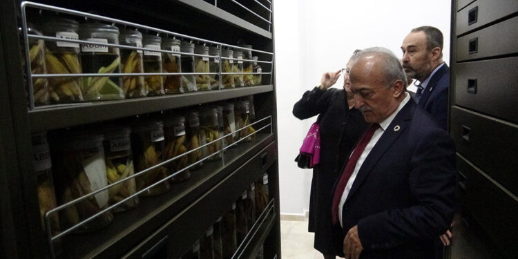 250 bin böcek, Biyoçeşitlilik Bilim Müzesi'nde sergileniyor