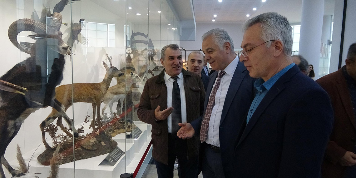 250 bin böcek, Biyoçeşitlilik Bilim Müzesi'nde sergileniyor