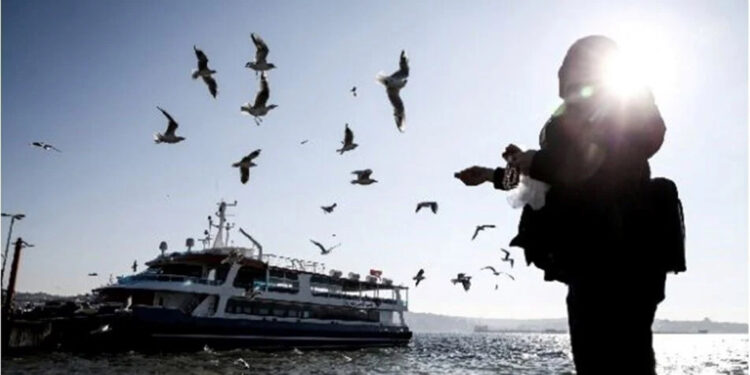 53 yılın en sıcak 9'uncu martı yaşandı