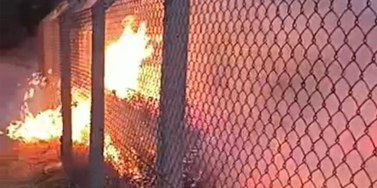 Ödemiş'te çıkan orman yangını söndürüldü