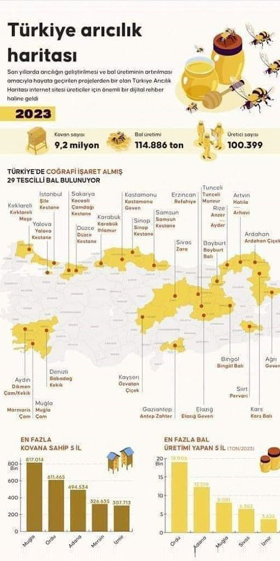 Ankara Üniversitesi Veteriner Fakültesi Dekanı Prof. Dr. Ender Yarsan, 2023 yılında bal üretim miktarının 114 bin 886 ton olduğunu, en fazla kovana sahip illerin Muğla, Ordu, Adana, Mersin, İzmir; en fazla bal üretimi yapan illerin Ordu, Adana, Muğla, Sivas ve İzmir olduğunu söyledi.