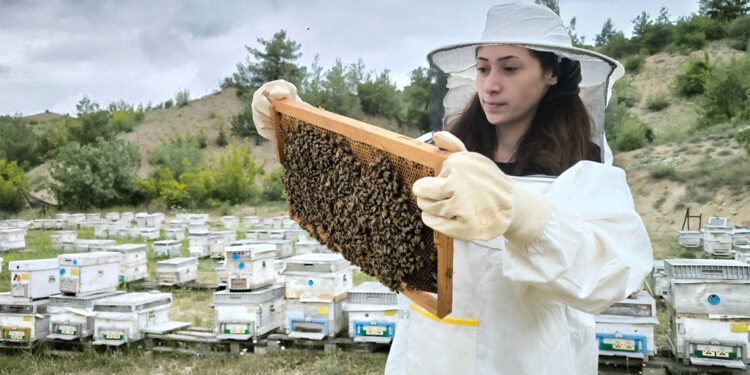 Turizm sektörünü bırakıp arıcılığa başladı