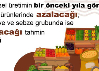 Tahıl üretiminde azalış öngörüldü