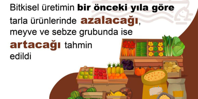 Tahıl üretiminde azalış öngörüldü