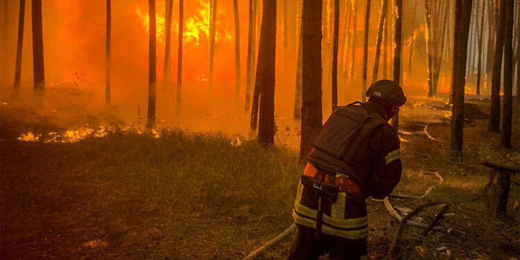 Harkiv'de bombardımanları sonucu orman yangını çıktı