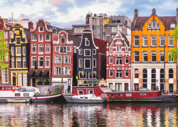 Türkiye'deki girişimciler Hollanda'da 10 günde şirket kurabiliyor