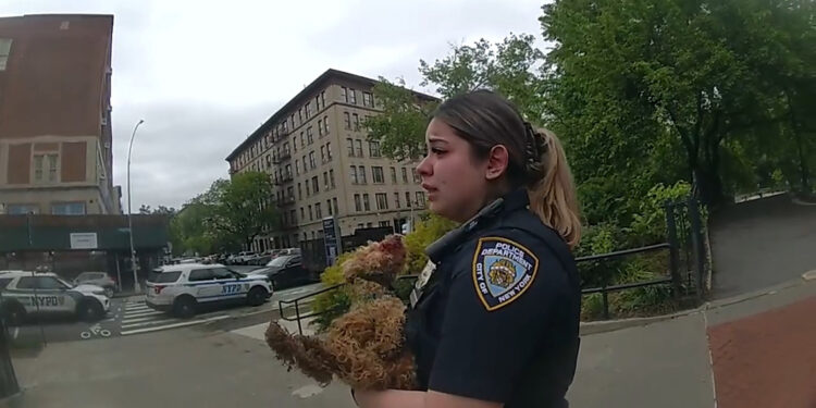 ABD polisi, sahibinin şiddet uyguladığı köpeği kurtardı